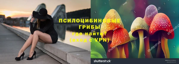 дживик Медвежьегорск