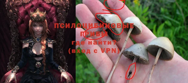 дживик Медвежьегорск